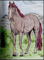 Horse-474x640.jpg Horse-474x640.jpg