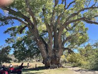 IMG_8826.jpeg IMG_8826.jpeg