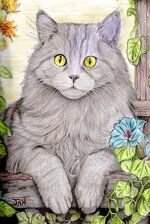 Barn Cat-474x640.jpg Barn Cat-474x640.jpg