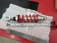 Rear Smaller Shock.jpg