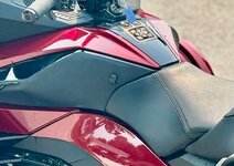 IMG_2219.jpeg IMG_2219.jpeg