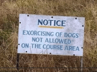 demon-dogs.gif demon-dogs.gif