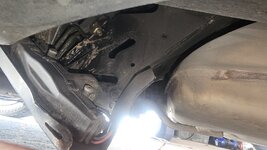 20251215_091918 (Medium).jpg 20251215_091918 (Medium).jpg