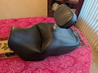 PXL_20260105_220049168 small.jpg