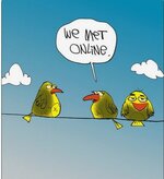 online.jpg online.jpg