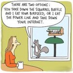 choices.jpeg choices.jpeg