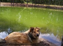 shiloh-pond-700.jpg