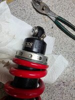 BilStein.jpg