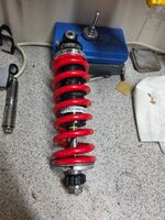 9 inch spring.jpg