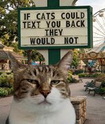 52374a1e-858c-4c30-8f24-a344d999cd20-650x0.jpeg