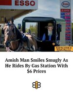 image_B964FCCD-5CED-44F0-BE83-E6BC57E86B4D.jpeg
