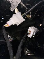 IMG_5218.jpeg