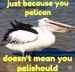 images.jpg