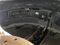 IMG_3097.jpeg IMG_3097.jpeg