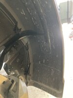 IMG_3098.jpeg IMG_3098.jpeg