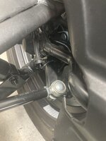 IMG_3111.jpeg IMG_3111.jpeg