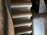 IMG_0162.jpeg