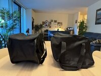 IMG_1282.jpeg
