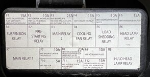 IMG_7886.jpeg