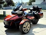 IMG_1403.jpeg
