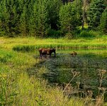 20260729_093627(1).jpg