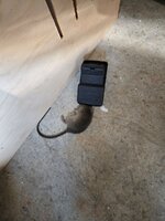 Rat.jpg Rat.jpg