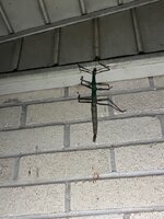 IMG_0760.jpeg