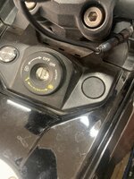 IMG_7841.jpeg IMG_7841.jpeg