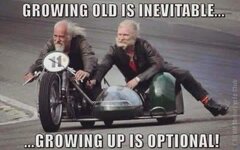 IMG_6846.jpeg IMG_6846.jpeg