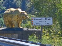 20260907_130525.jpg