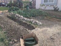 IMG_20200822_175233.jpg