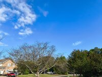 IMG_20261003_092441845_HDR.jpg
