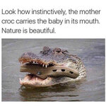 croc.jpg