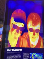 IMG_3413.jpeg