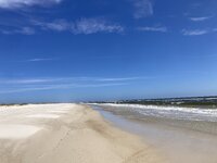 IMG_3415.jpeg