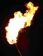 burning-torch1.jpg