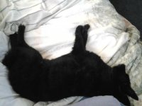 20111124_153501.jpg