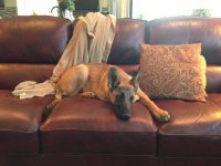 Boss 03-18-13.jpg