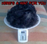 HairScale-3-2013.jpg