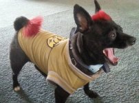 20130330_151443-1.jpg