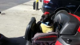 20130330_165557.jpg