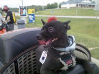 IMG_20110910_160757.jpg