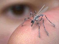 Miniature Drone.jpg