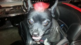 20130408_204733.jpg