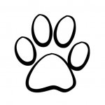 ImageUploadedByTapatalk1365533397.128757.jpg