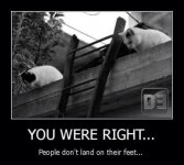 You Were Right.jpg