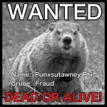 phil-groundhog.jpg