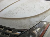 IMG_0193.jpg