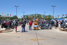 DSC_0466.jpg