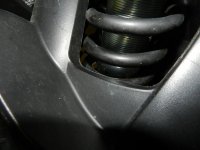DSCN1534.jpg